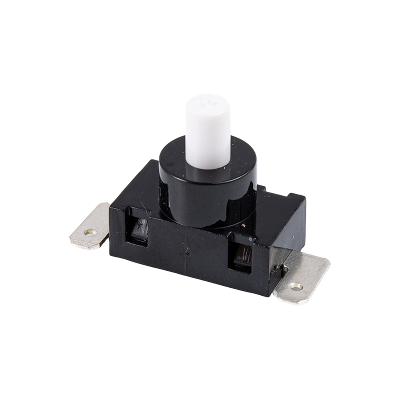 سوئیچ دکمه P12-3B